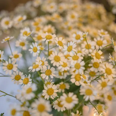 Lägenhet Eckart, Gabrielhaus *
