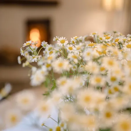 Lägenhet Eckart, Gabrielhaus Altenmarkt im Pongau